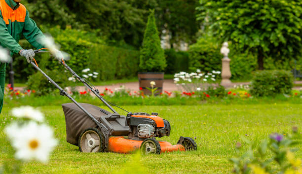 Gardening